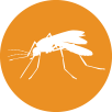 pet-peeve-mosquito