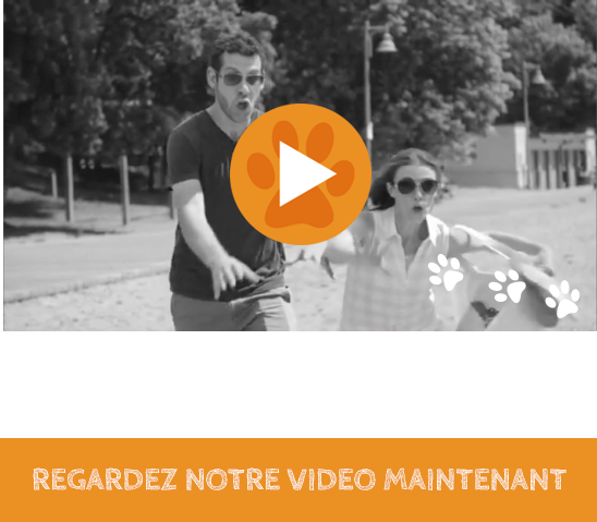 poop-happens-video