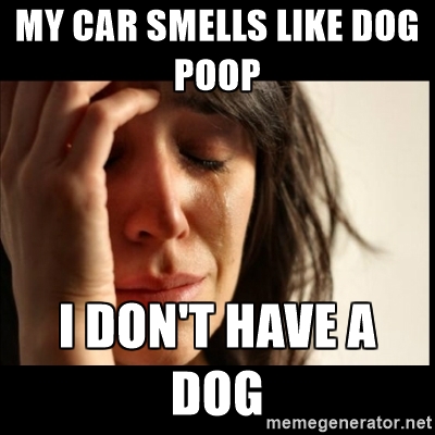 can you get sick from picking up dog poop