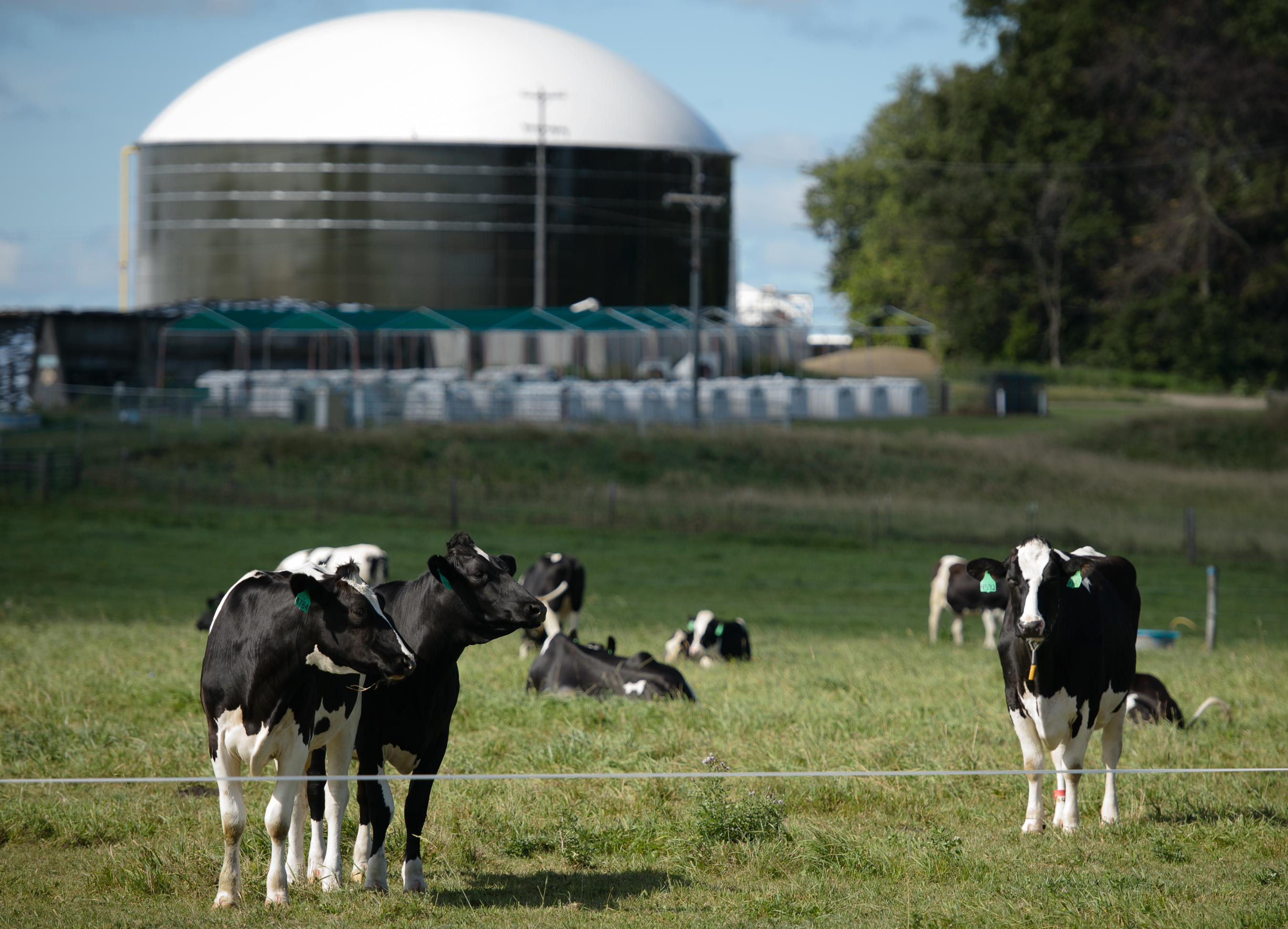 biogas