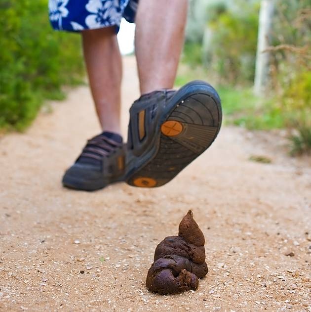 what does it mean when you step in dog poop